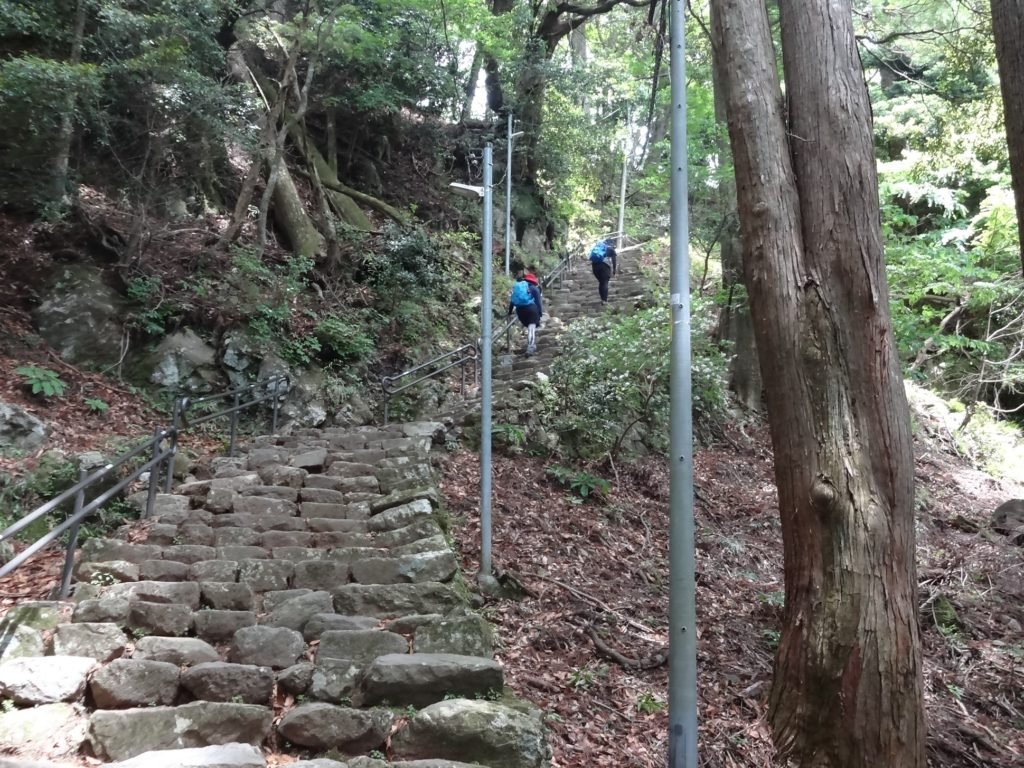 🍁 오야마 참배길(오야마 산도) 이미지 5